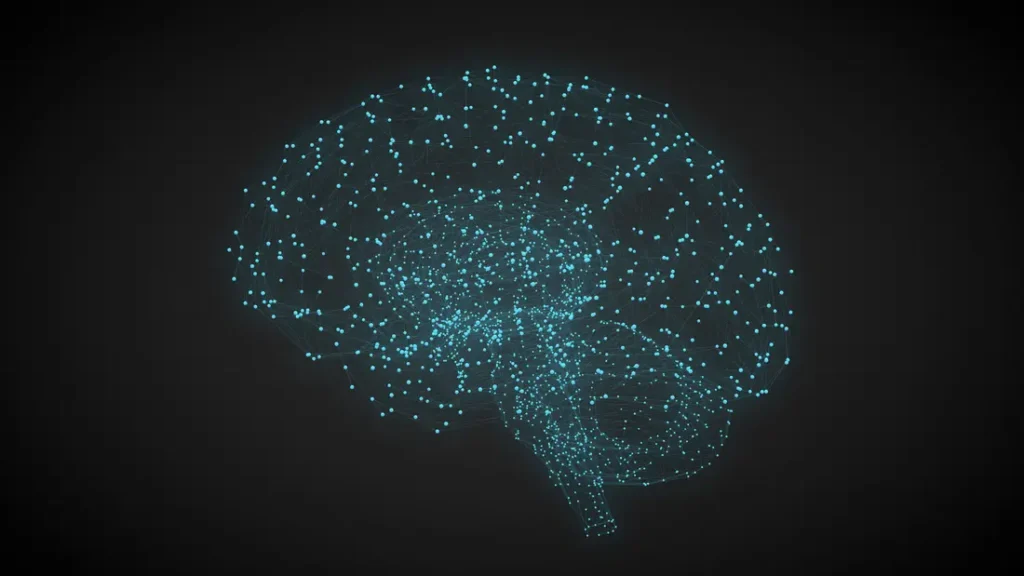 Bilişsel Süreç Becerileri