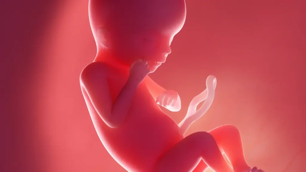 Gelişim İlkeleri Nelerdir, Gelişim Psikolojisi! Gelişim İlkeleri Nelerdir, Gelişim Psikolojisi