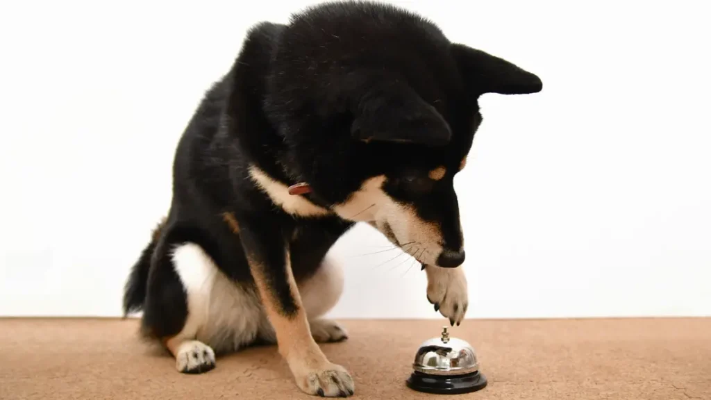 Koşullanma Türleri Nelerdir? 1 Koşullanma Türleri