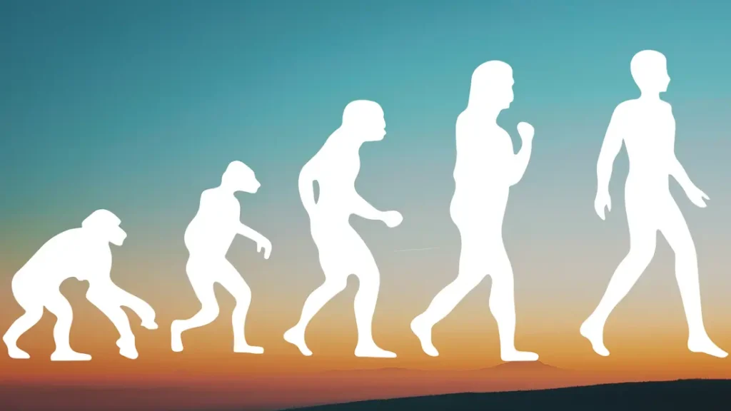 Psikoseksüel Kuram Nedir, Freud'un Evreleri