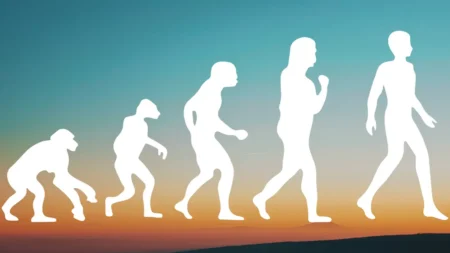 Psikoseksüel Kuram Nedir, Freud’un Evreleri Psikoseksüel Kuram Nedir, Freud'un Evreleri