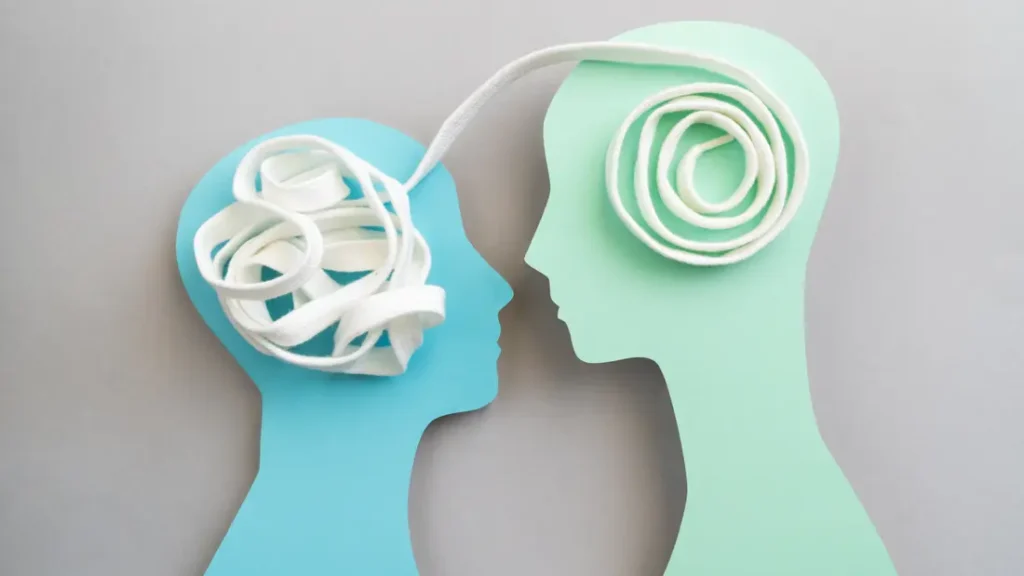 Sosyal Disiplin Modeli Nedir, Ne İşe Yarar? 2 Temel Prensipler ve Değerler