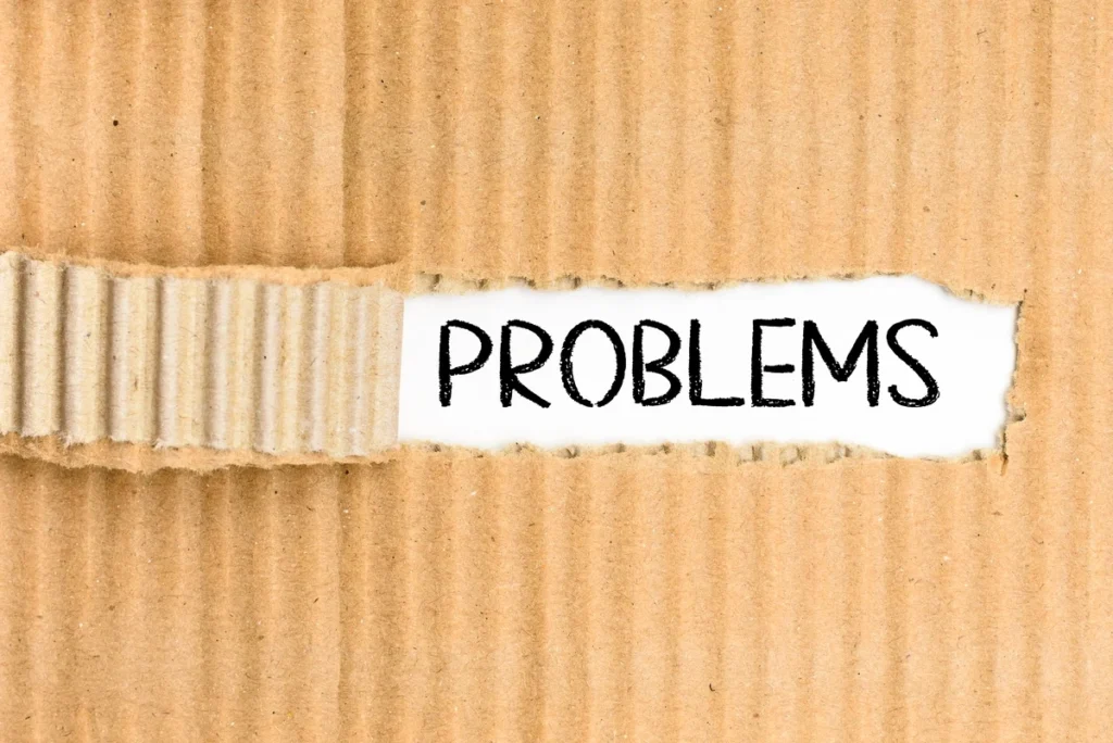 Problem Çözme Basamakları Nelerdir